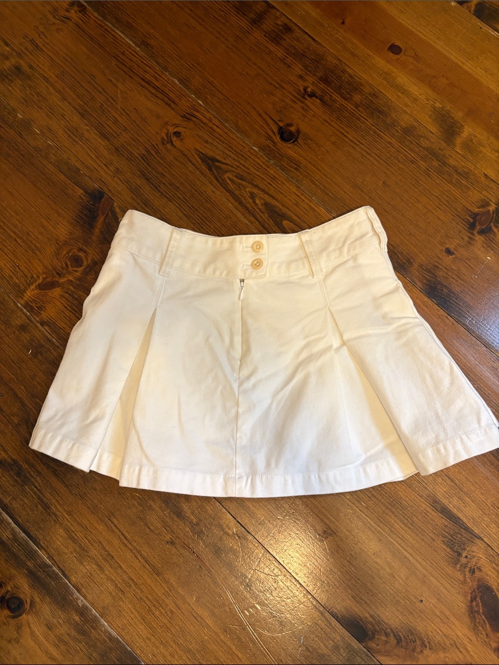 Aritzia Wilfred A-Line Pleated Mini Skirt